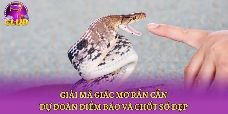 Giải Mã Giấc Mơ Rắn Cắn - Dự Đoán Điềm Báo Và Chốt Số Đẹp